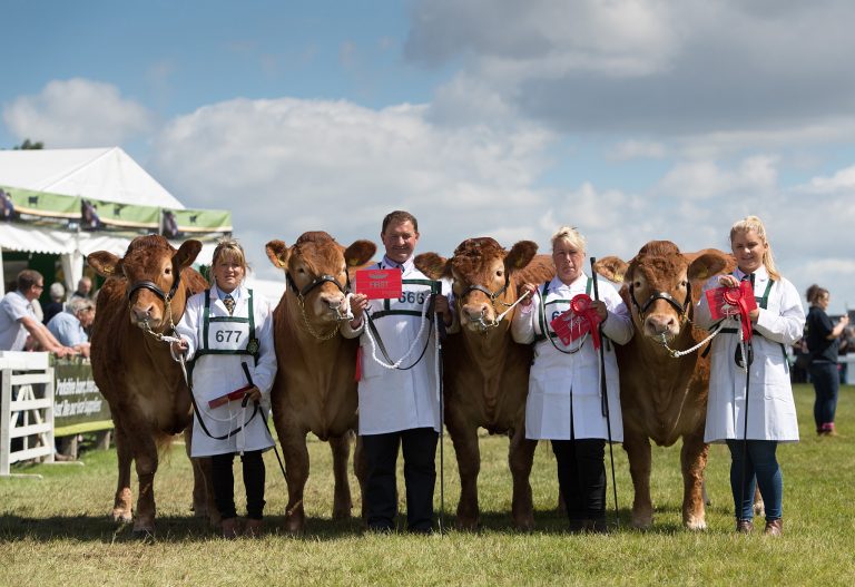 Read more about the article Interbreed success at Great Yorkshire Show