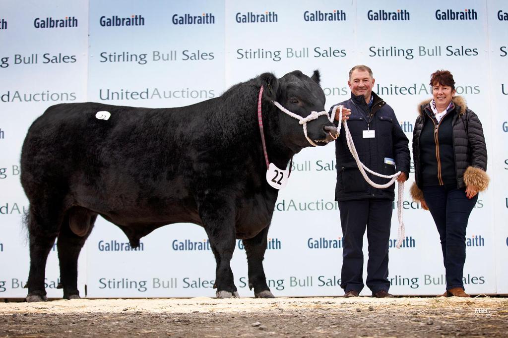 Read more about the article Foxhill Angus bull takes second top price in Stirling at 9000gns