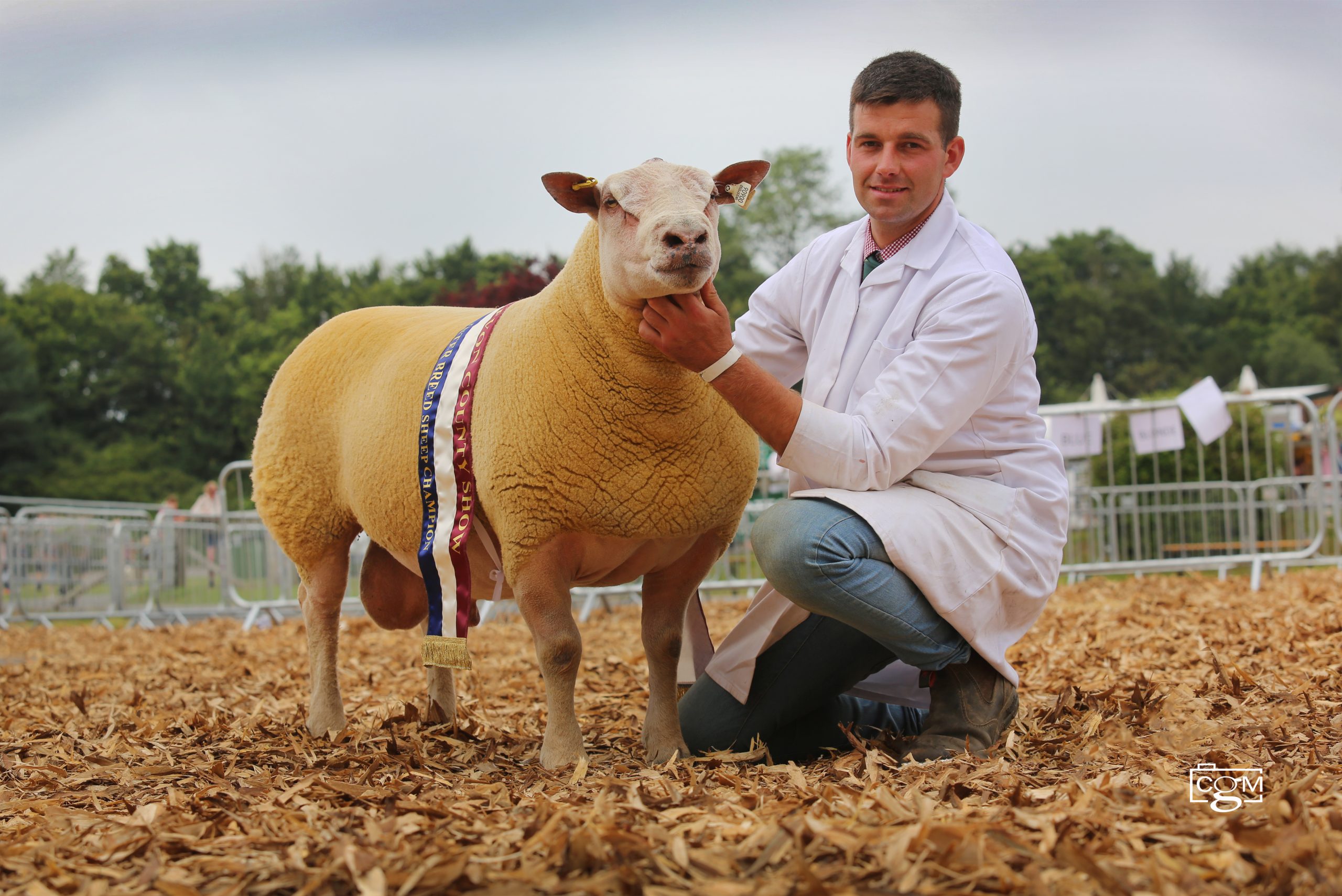 Read more about the article Interbreed success for Foxhill at Devon County Show